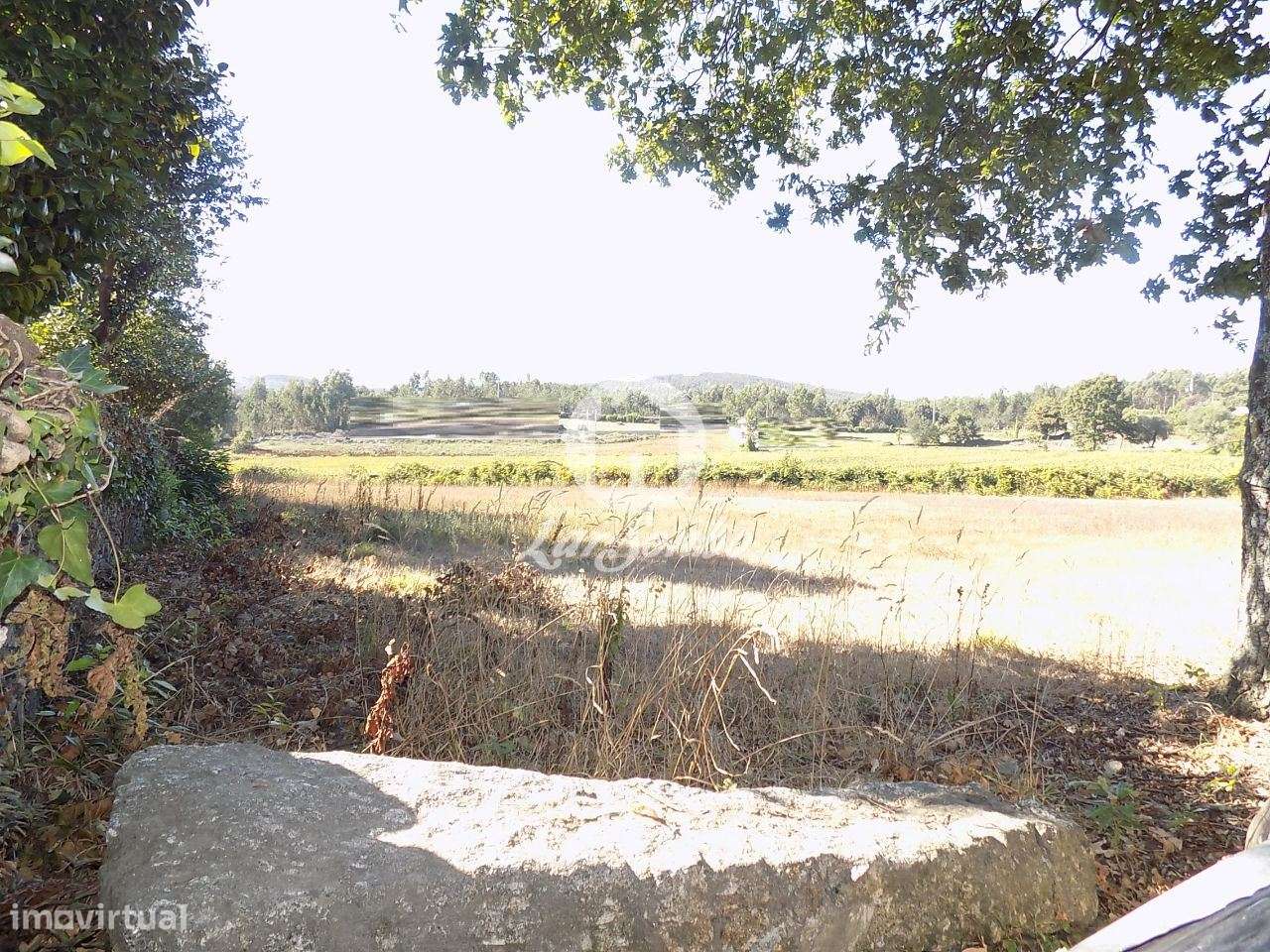 Terreno de construção com 2.925 m2 em Ribeirão - Grande imagem: 4/6