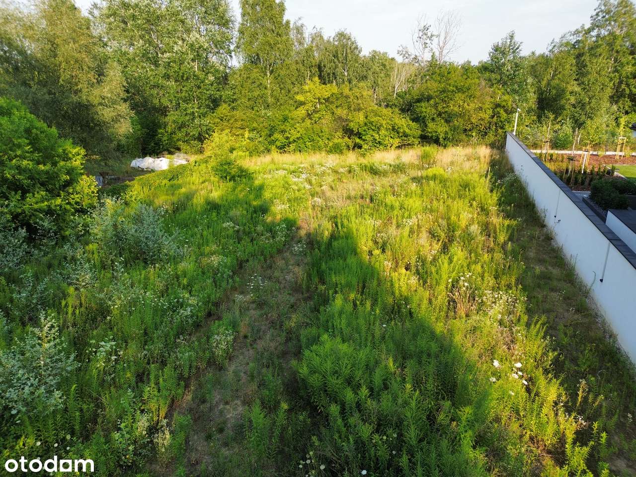 Działka z linią brzegową jeziora - Poznań - Pełny obrazek: 5/6