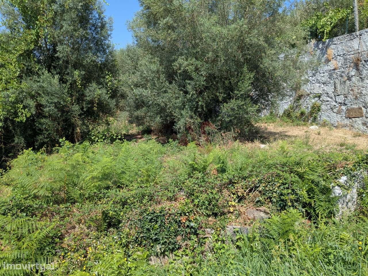 Terreno para Construção com 410 m² em Travassós, Fafe - Grande imagem: 5/5