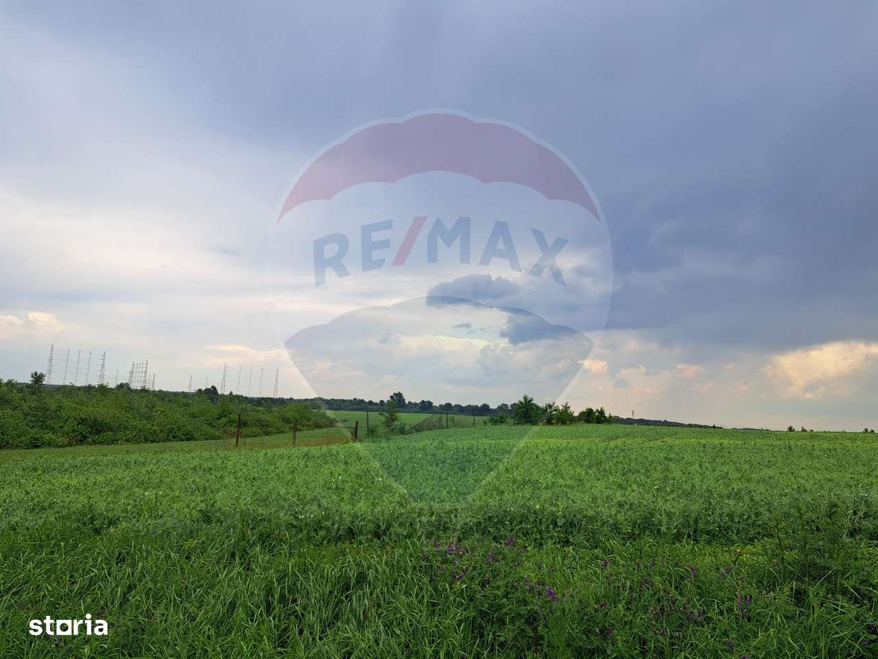Teren Ciolpani 15.000 mp oportunitate posibilitate lotizare 5000 mp - Imagine principală: 2/11