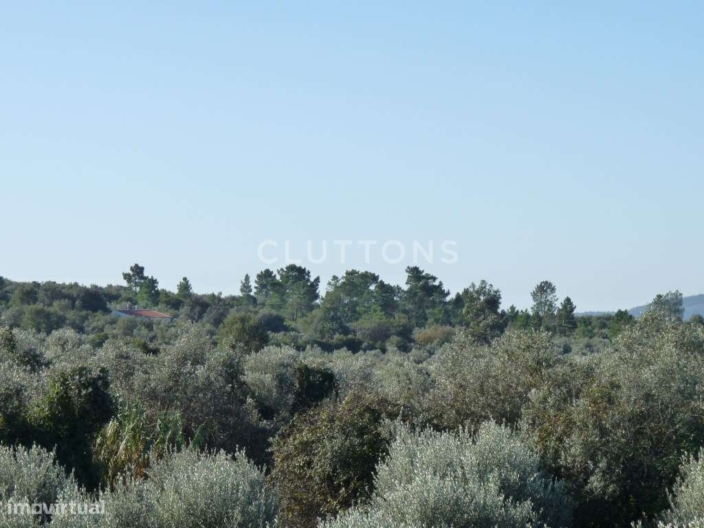 Terreno, 5.4 hectares, PIP aprovado, com possibilidade construção d...-10