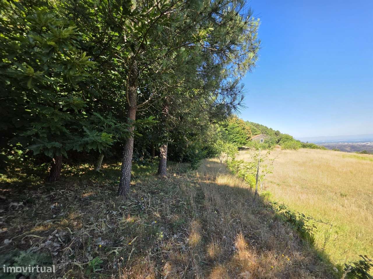 Quinta  Venda em Valezim,Seia-10