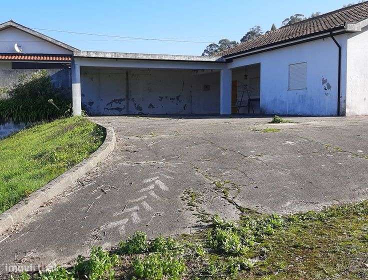 Vende Quinta 1 hect Meinedo Lousada-19