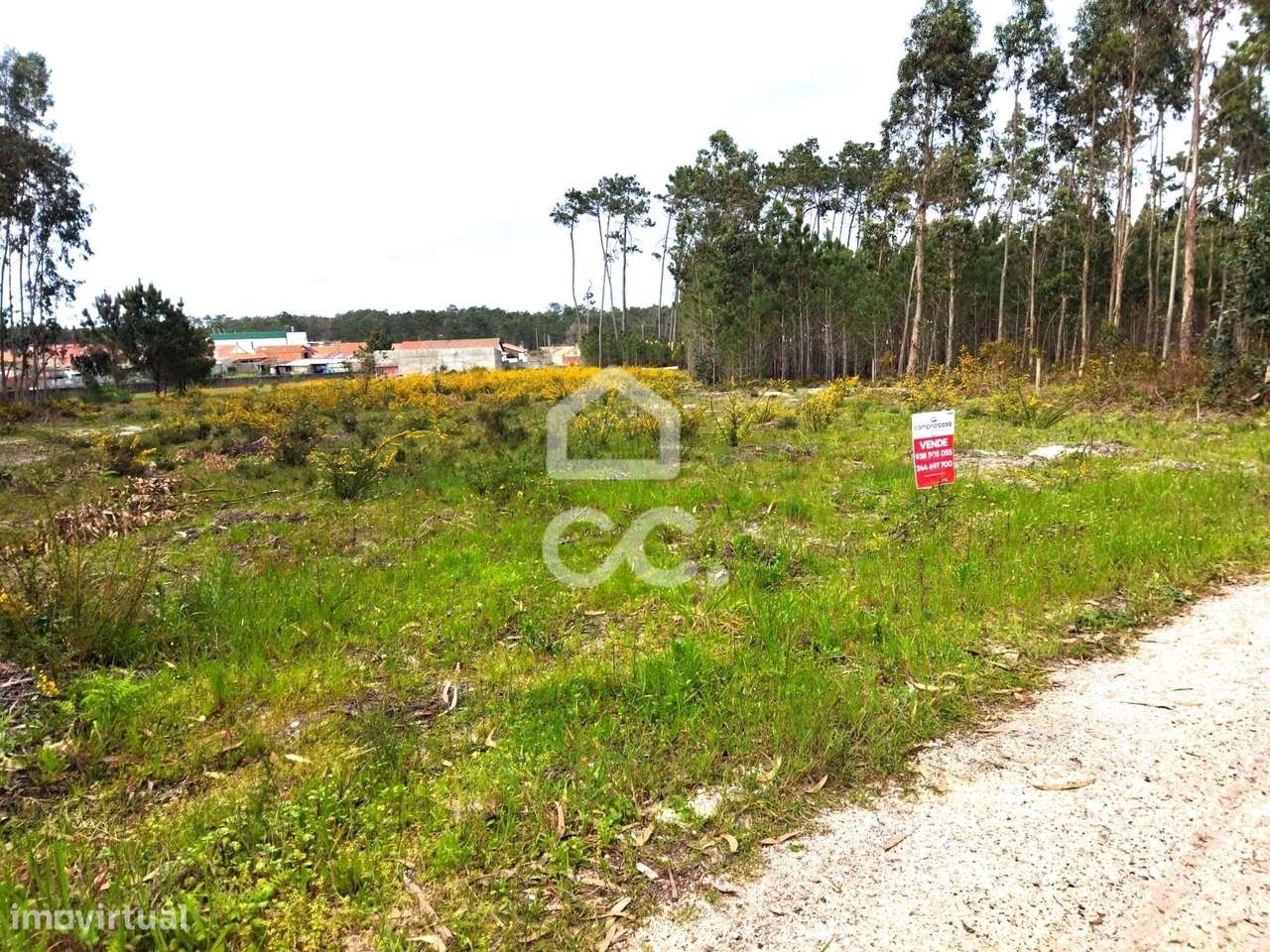 VIEIRA DE LEIRIA-------Venda global de dois terrenos com a área total - Grande imagem: 5/7