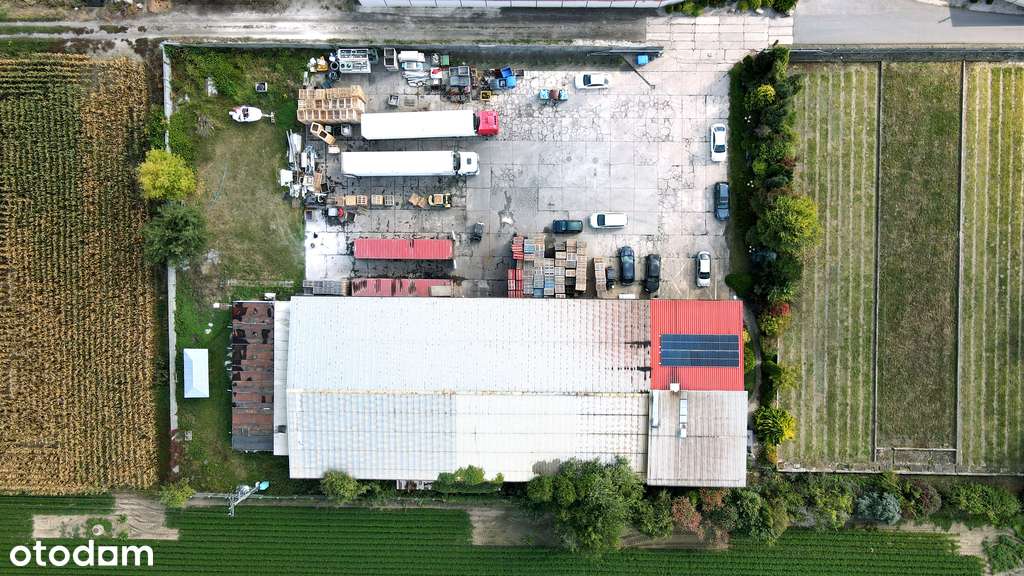 Obiekt magazynowo-biurowy, Ołtarzew | WYNAJEM - Pełny obrazek: 1/2