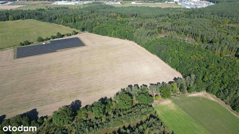 Działka - Przełazy - Pełny obrazek: 4/9