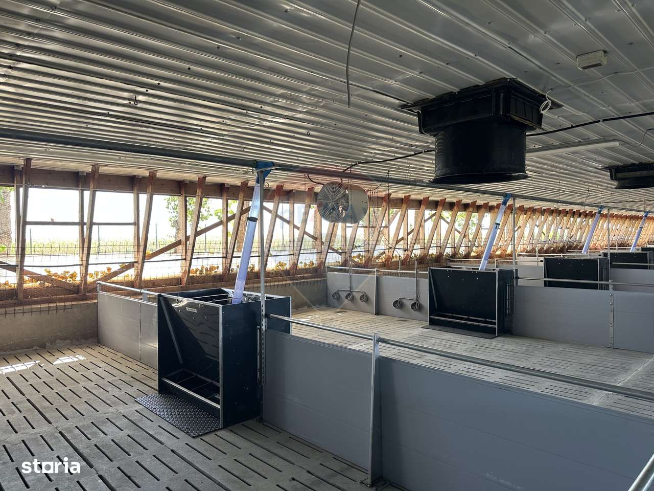 Ferma porcine la cheie - Imagine principală: 5/20