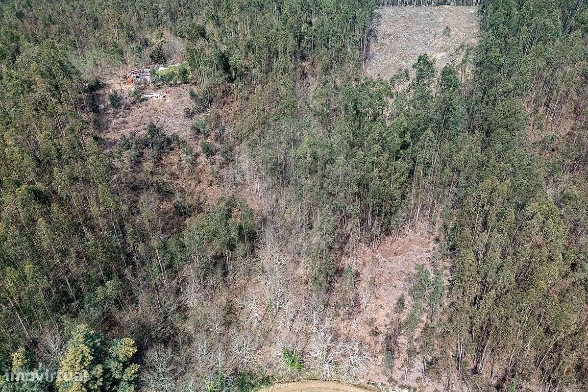 Terreno  para venda-10