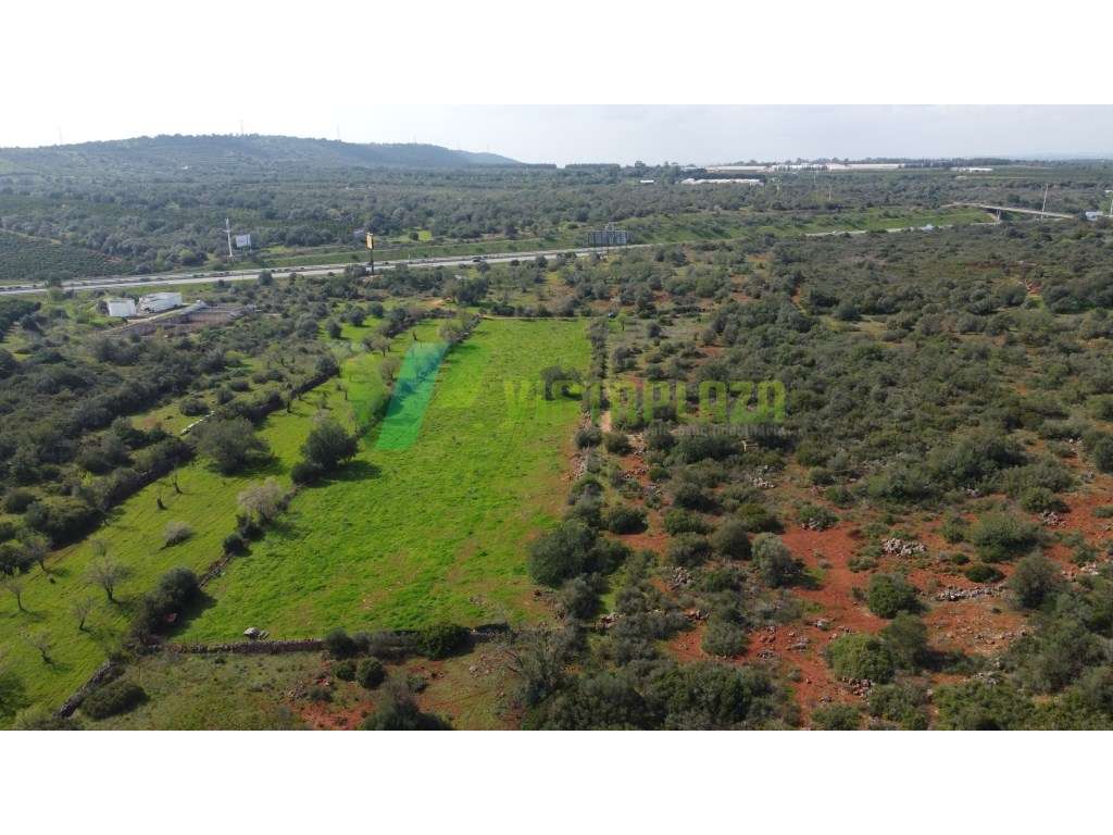 Terreno Rústico em Paderne , Algarve, com Vista Desafogada e Excele...-15