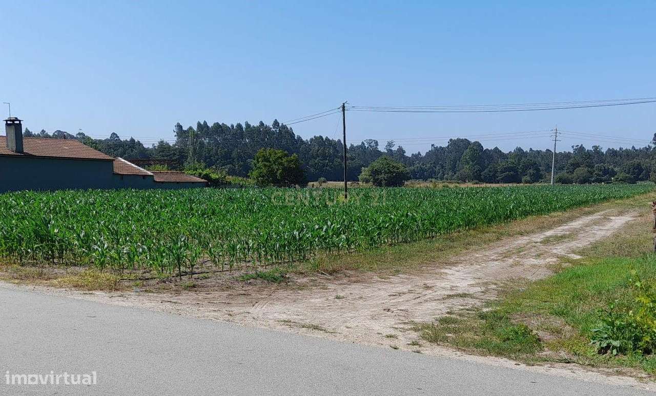 Terreno - Estarreja - Grande imagem: 3/6