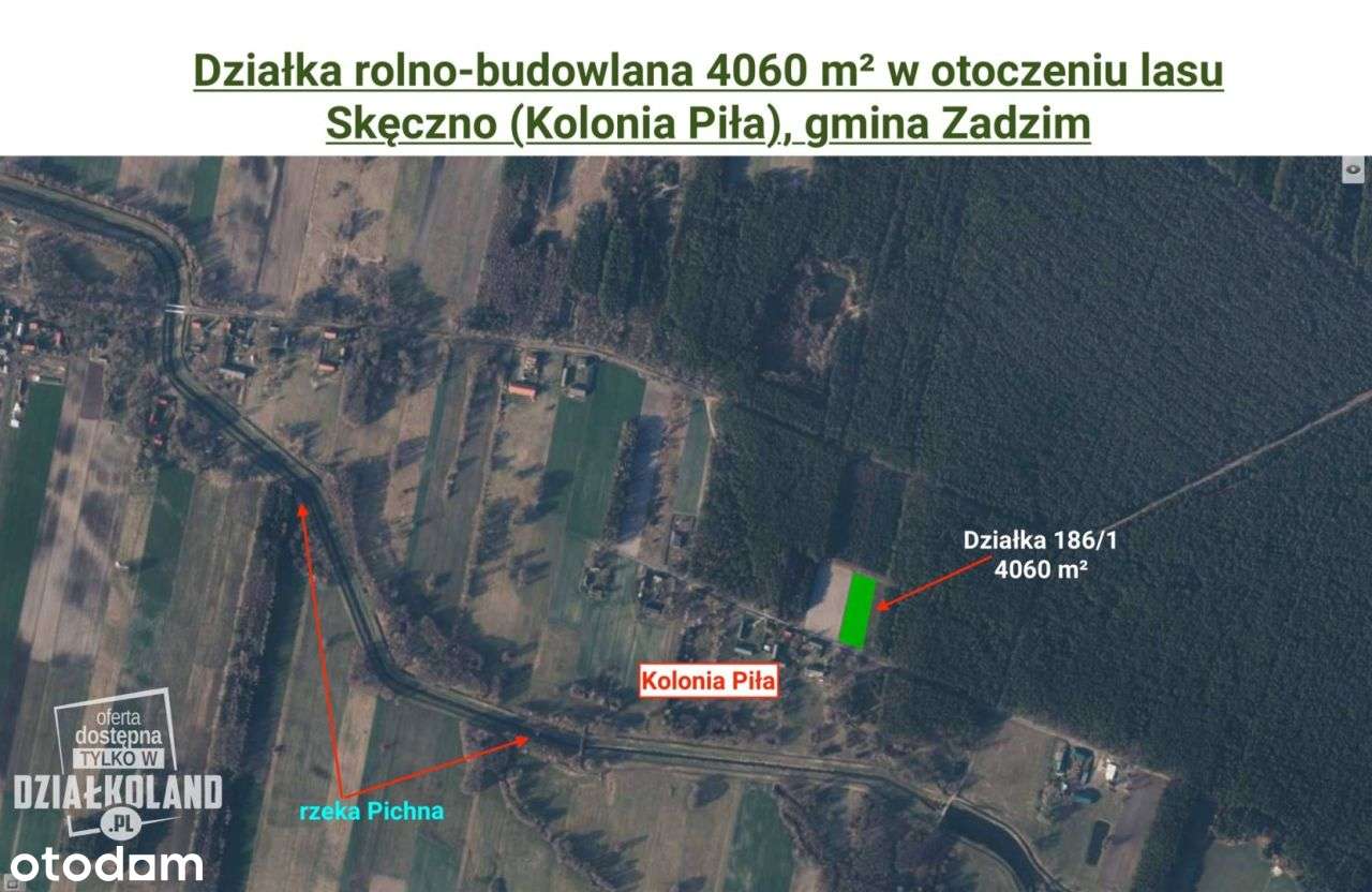 Dz. budowlana 4060 m², Skęczno (Kol. Piła), Zadzim-2