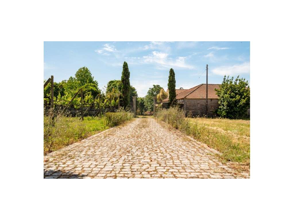 Quintinha para venda na Maia - Grande imagem: 4/30