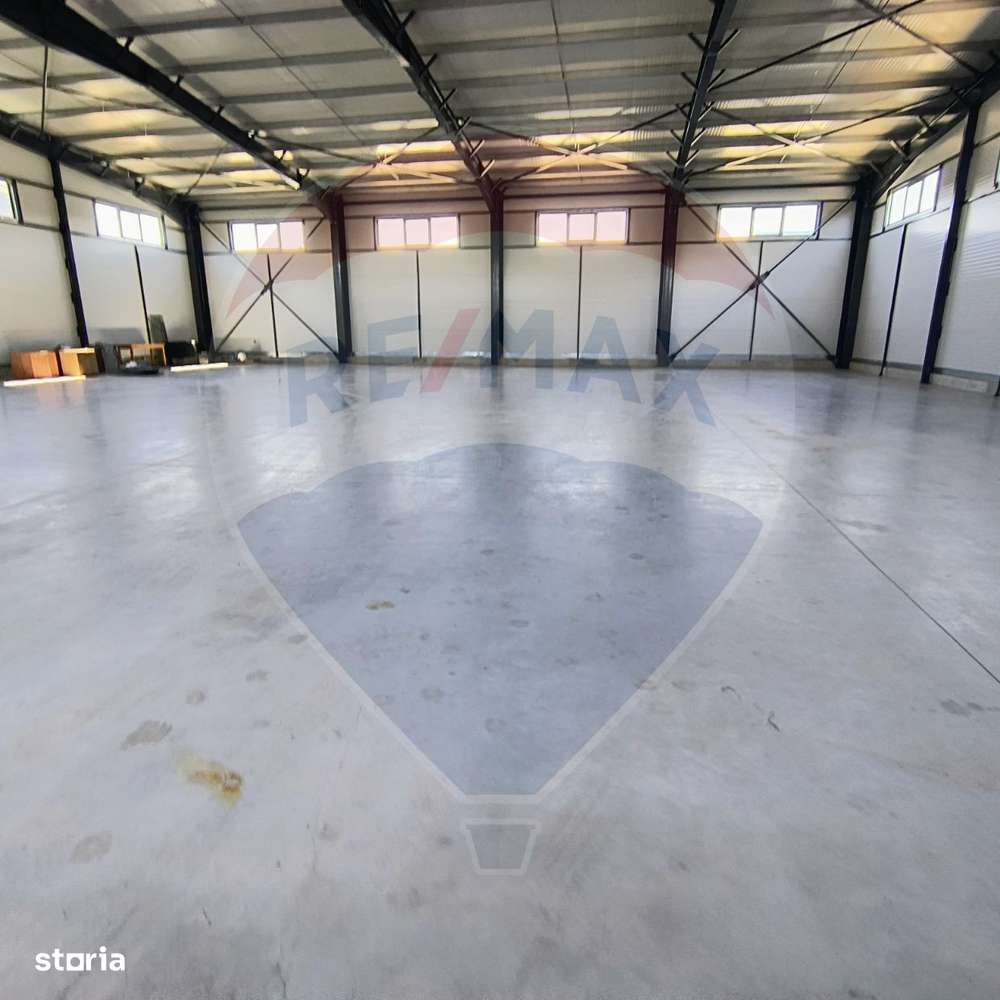 Spațiu industrial hala 597 Mp de inchiriat Ciorogarla - Imagine principală: 2/8