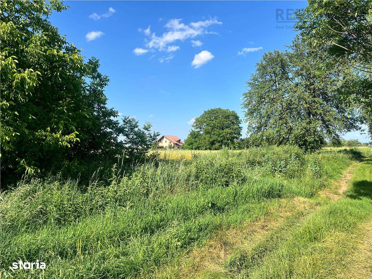 TEREN INTRAVILAN, 1200 mp, HARMAN, COMISION 0% - Imagine principală: 3/5