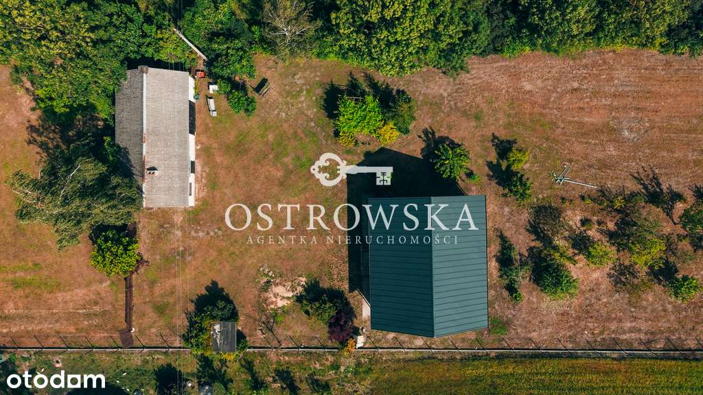 Siedlisko z dobrym dojazdem do miasta - Pełny obrazek: 5/17