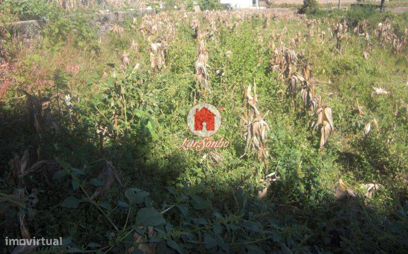 Terreno para construção com 2.000 m2 em Beiriz, Povoa de Varzim - Grande imagem: 2/5