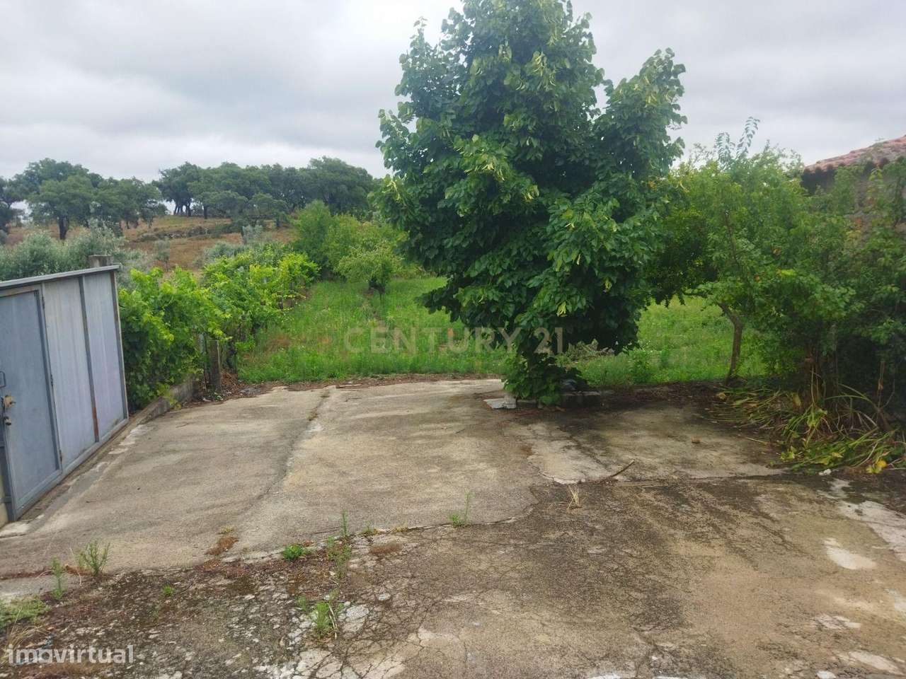 Terreno Rústico na Lousa, Castelo Branco-9