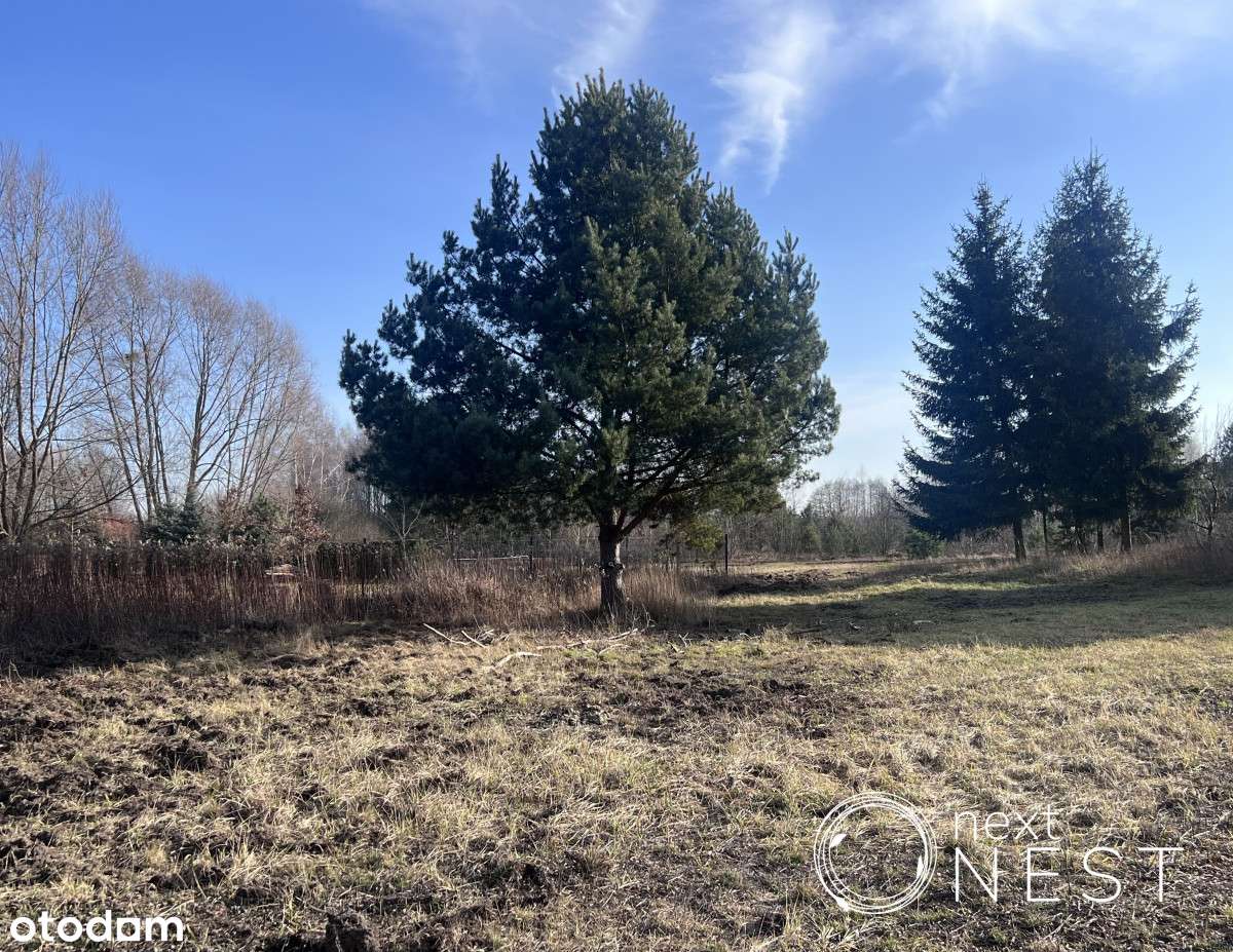 Piękna działka w Borowinie-1
