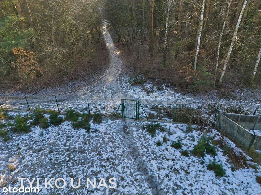 Działka budowlana z WZ przy lesie | Pokrzywnica-6