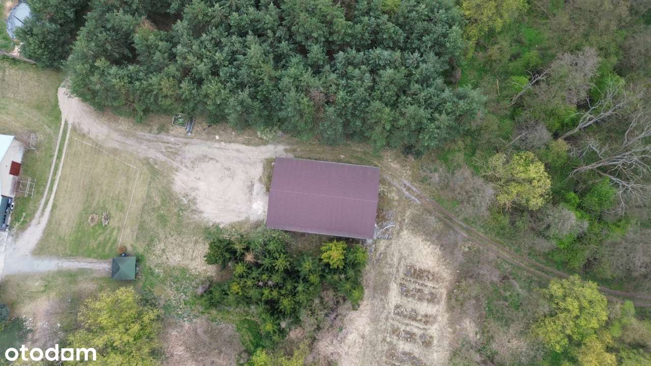 Sprzedaż nieruchomości inwestycyjnej – 3,46 ha | Grzebielin Budowlana-9
