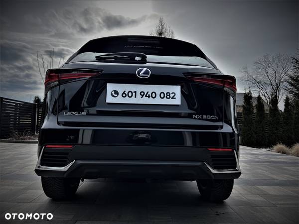 Lexus NX - 4