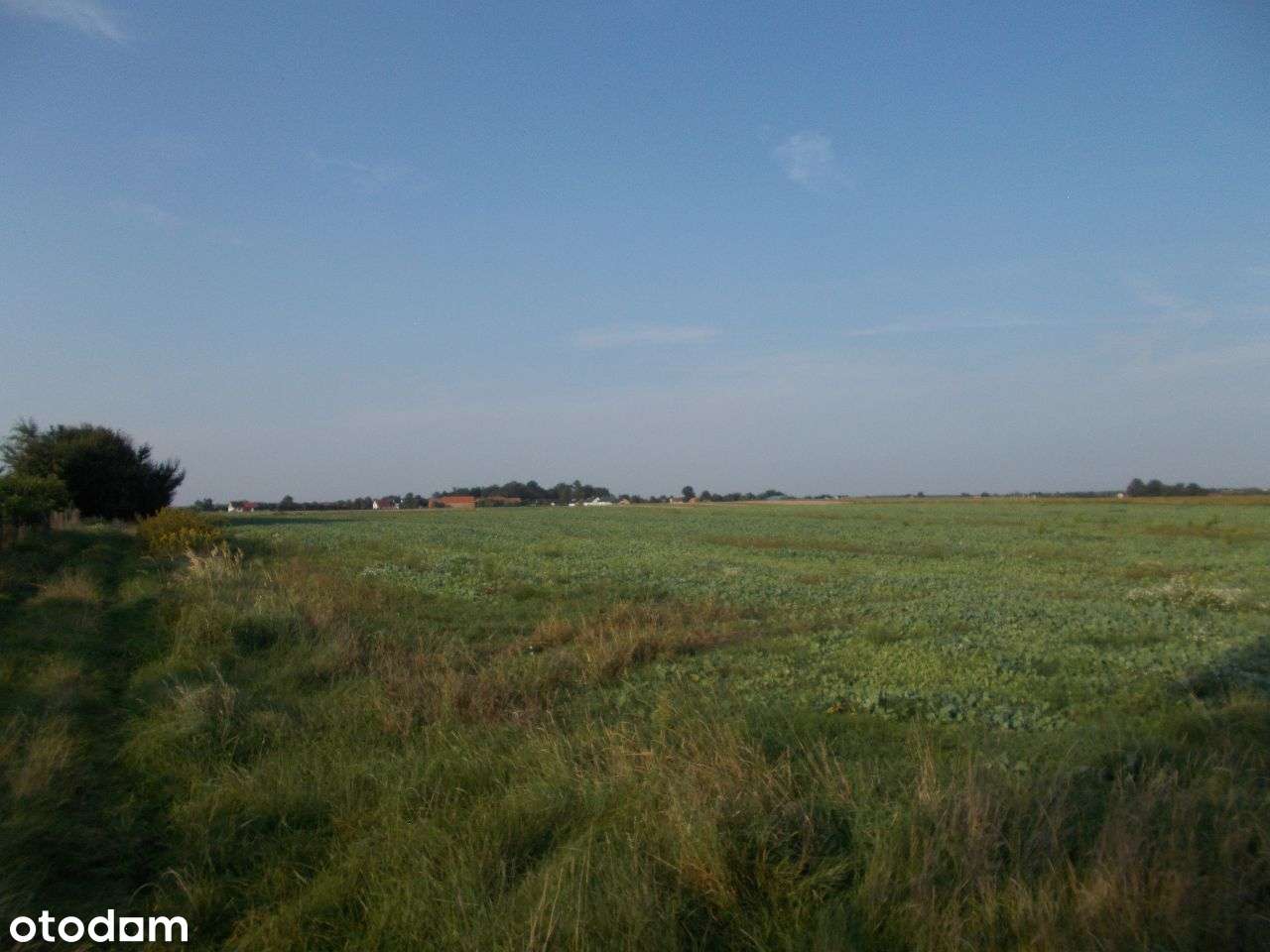 Działka we Wróblowicach DK94 vis-a-vis Orlen - Pełny obrazek: 4/8