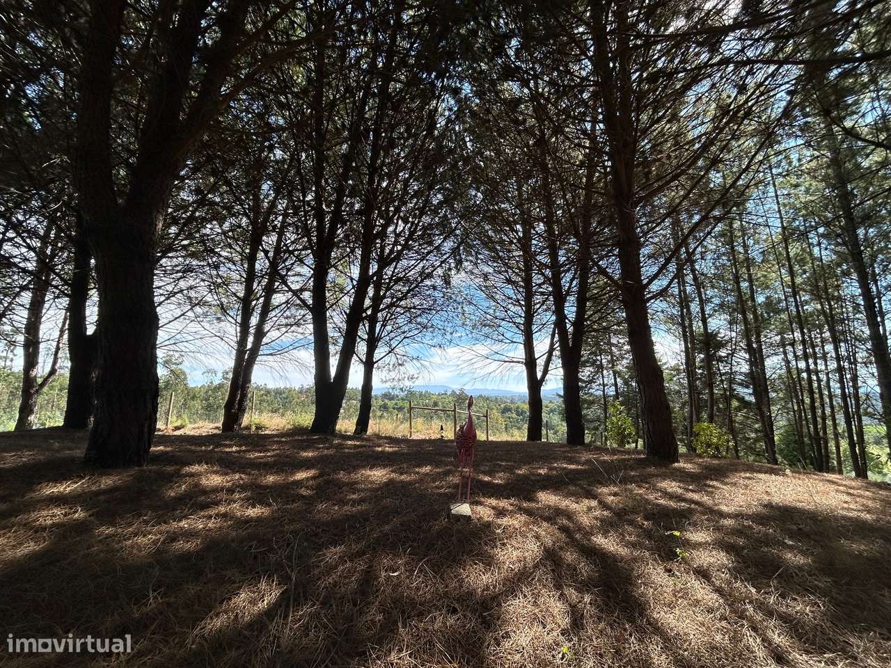 Quinta T6, Viseu, Santa Comba Dão, Santa Comba Dão e Couto do Mosteiro-49