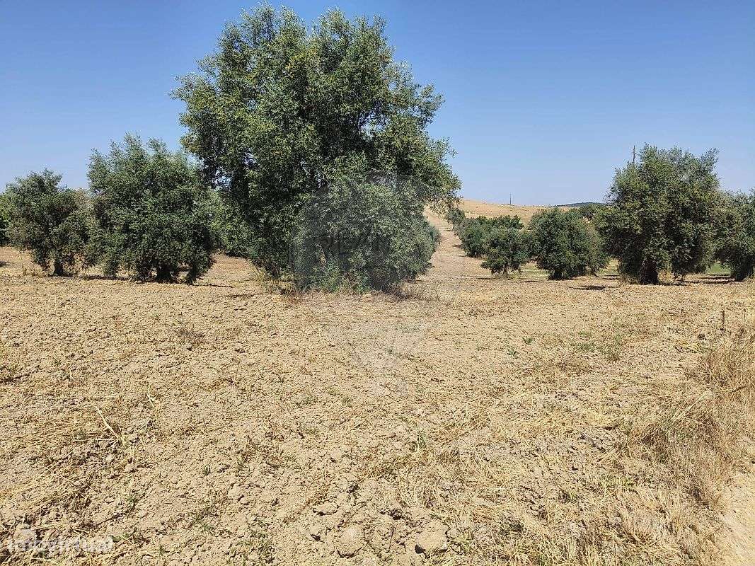 Terreno  para venda - Grande imagem: 4/6