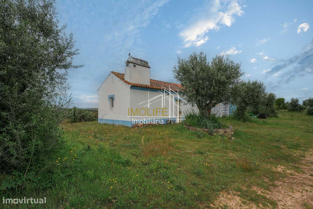 MONTINHO DO CHIADO - MALARRANHA - PAVIA-53