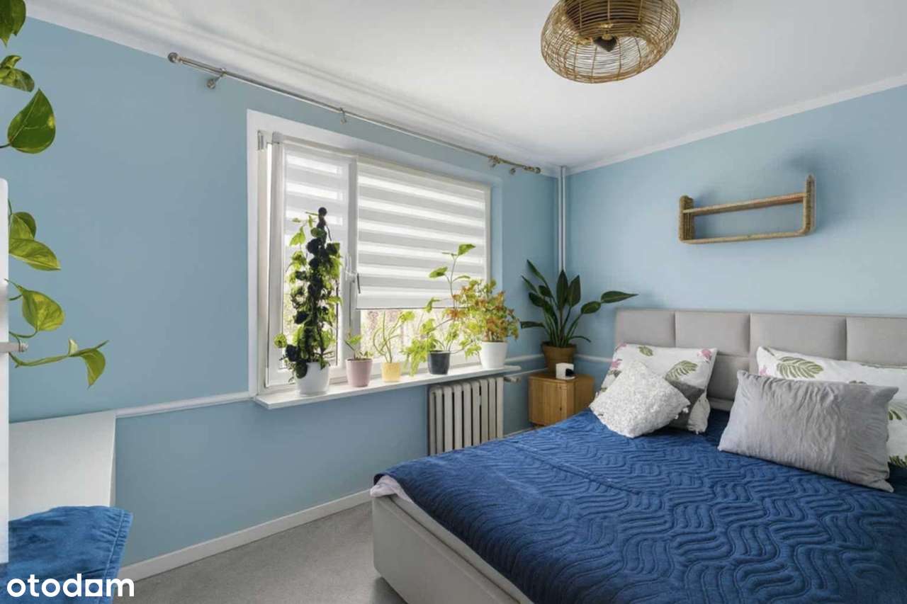 Piękne Mieszkanie Na 2 - piętrze! - Pełny obrazek: 2/13