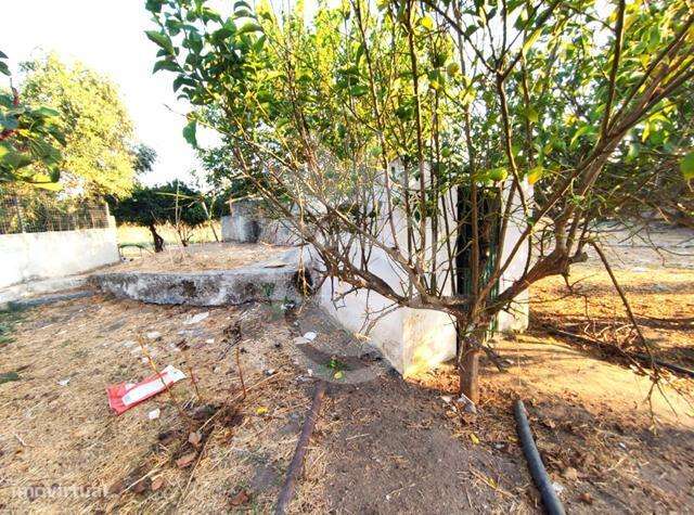 Quintinha aldeia da Caridade-10