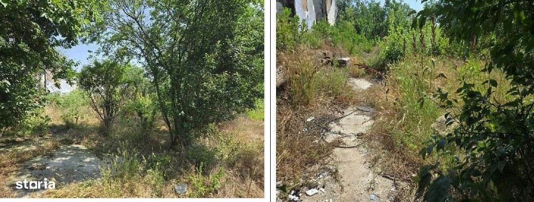 Casa si teren Cucuruzu, ID: R2609648 - Imagine principală: 3/13