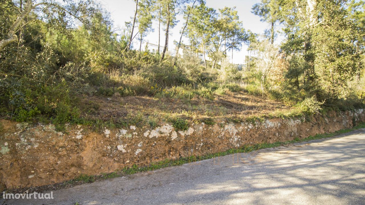 Terreno , Ceira, Coimbra / Venda