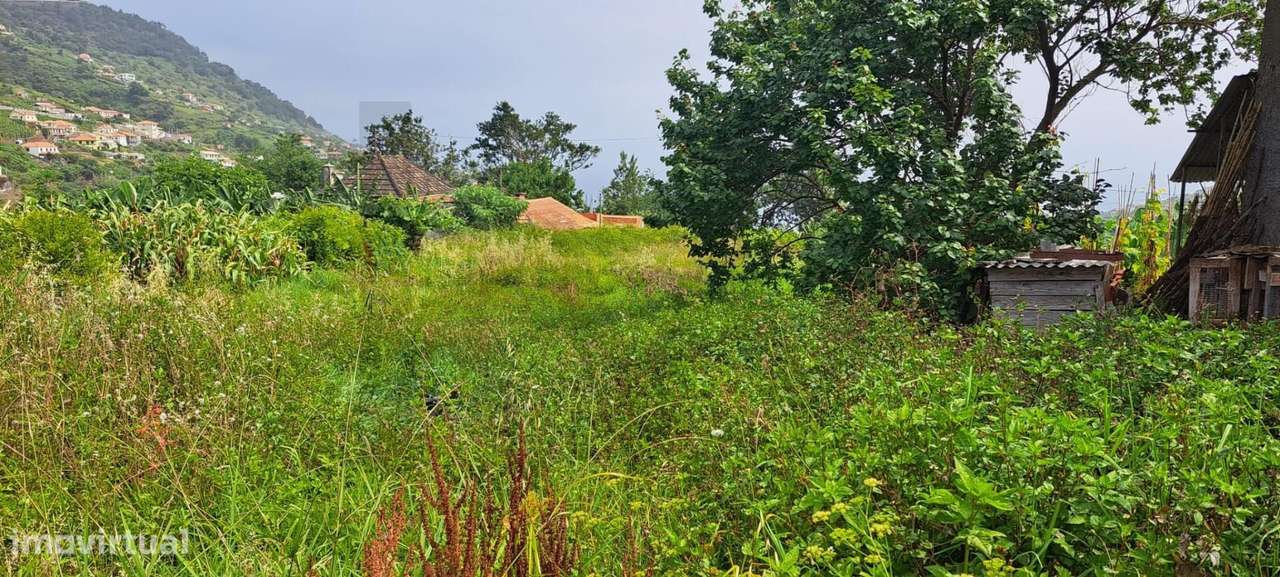 Tereno no Faial, Concelho de Santana - Grande imagem: 5/9