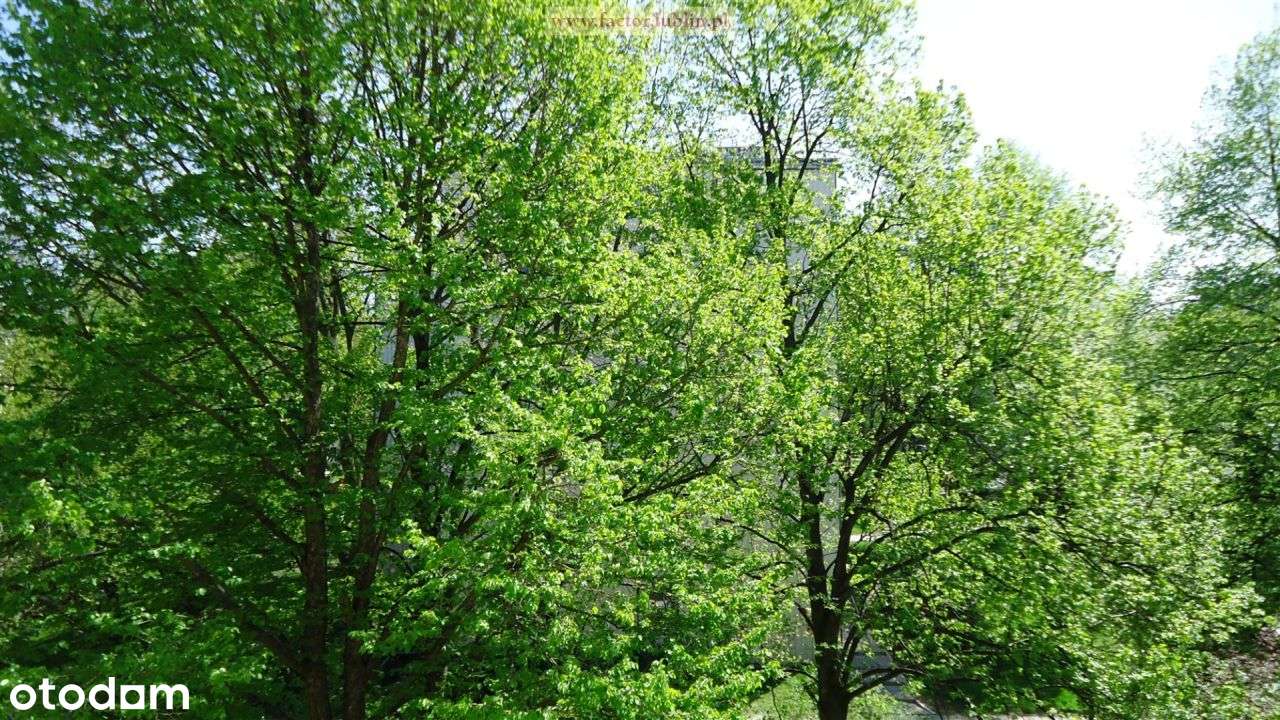 49,7 m2 Lsm obok Miasteczka Akademickiego-8