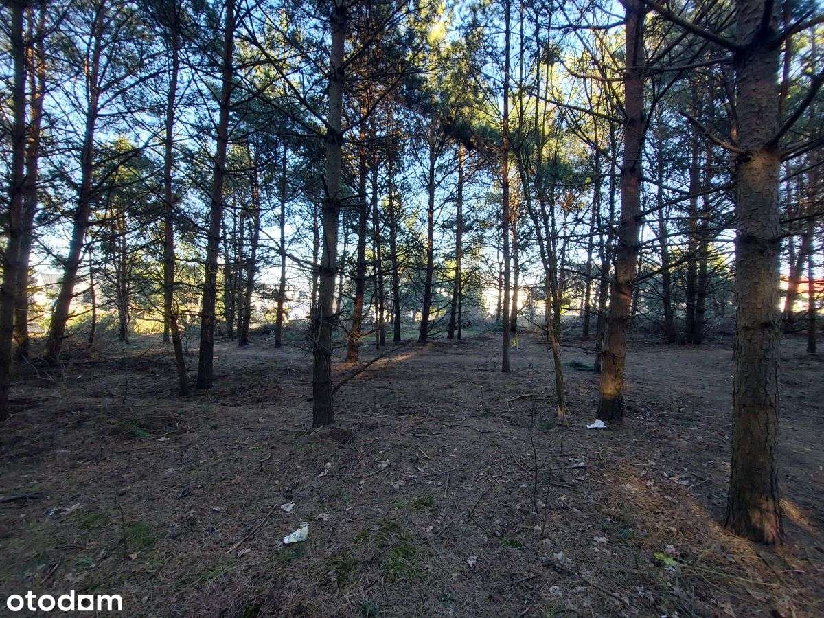 Atrakcyjna działka budowlana w Rumi-9