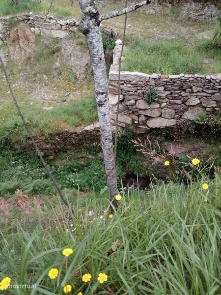 Terreno em Espiunca, Arouca, ideal para investimento turístico - Grande imagem: 5/15