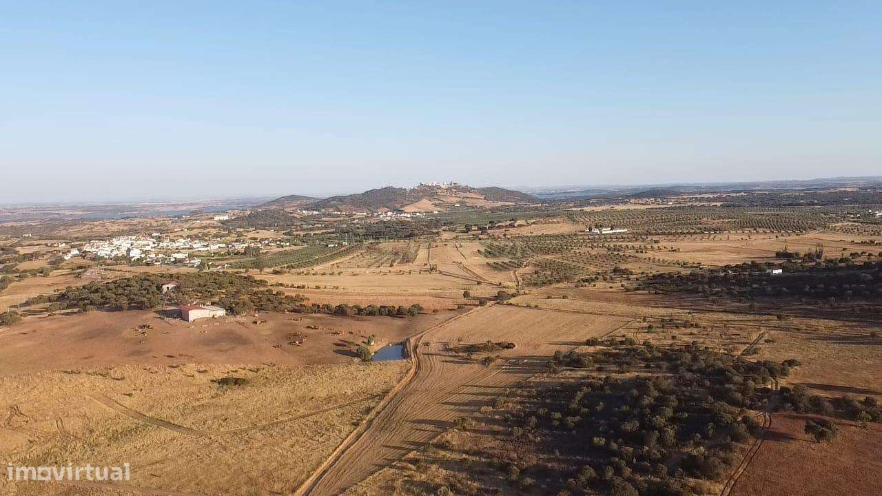 Terreno Misto em Monsaraz, Reguengos de Monsaraz - Grande imagem: 4/5