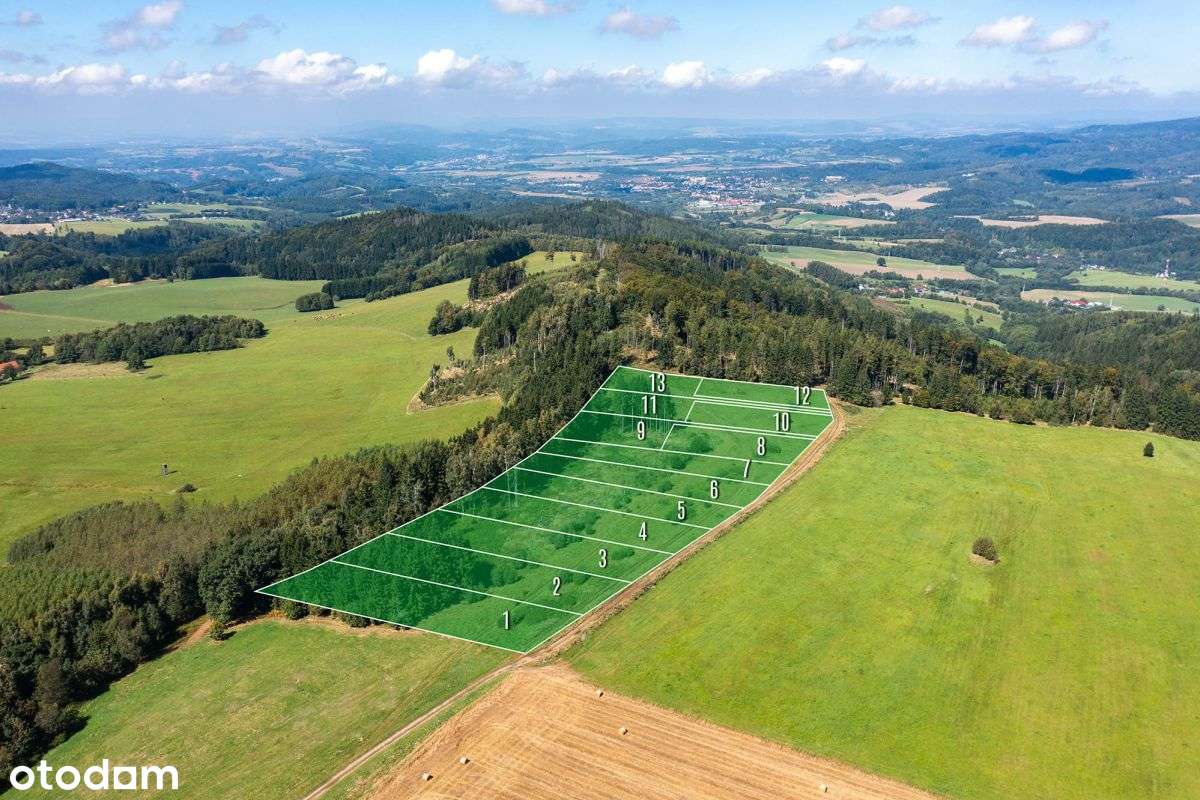 Działka widokowa z własnym lasem-0