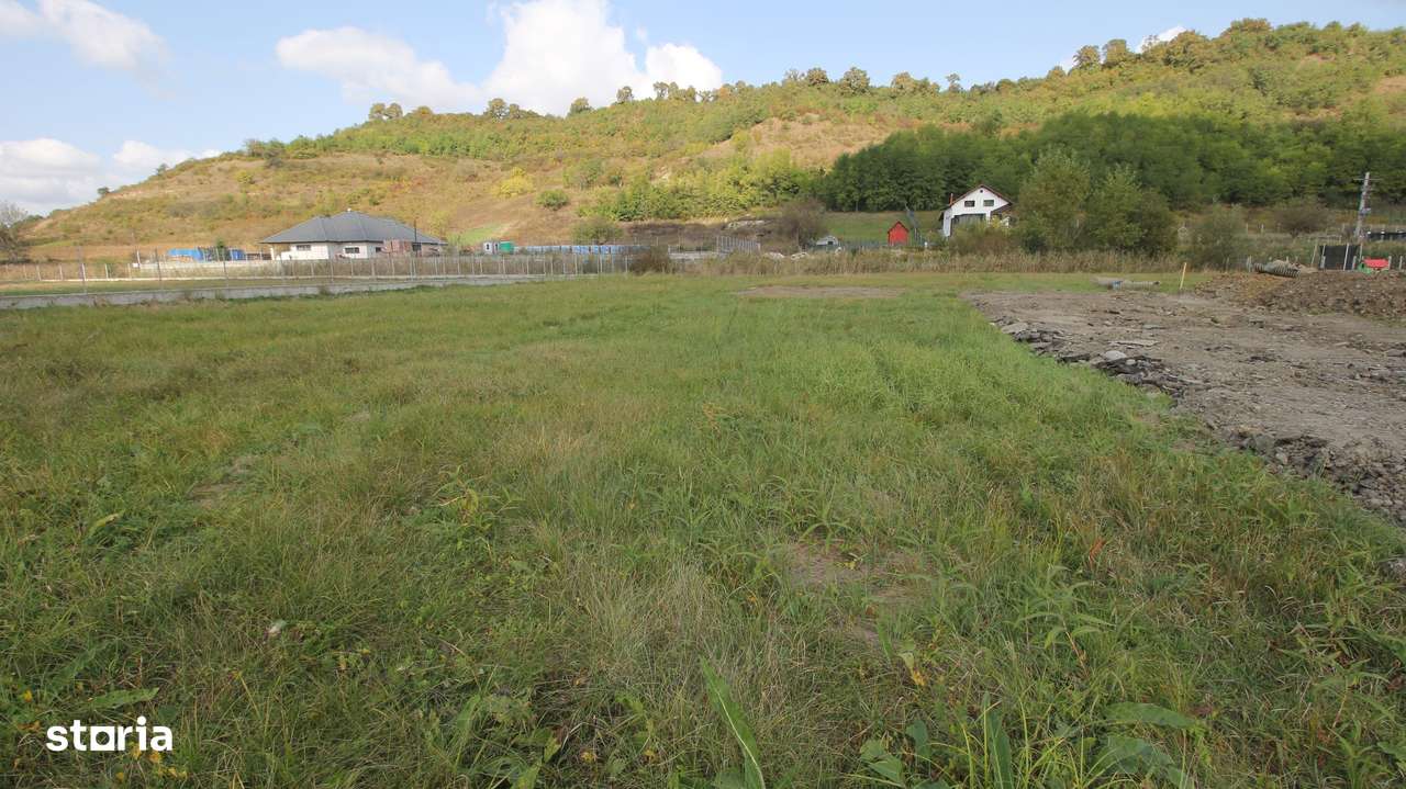 Teren 780mp, PUG aprobat, Livezeni,60 euro mp - Imagine principală: 3/13