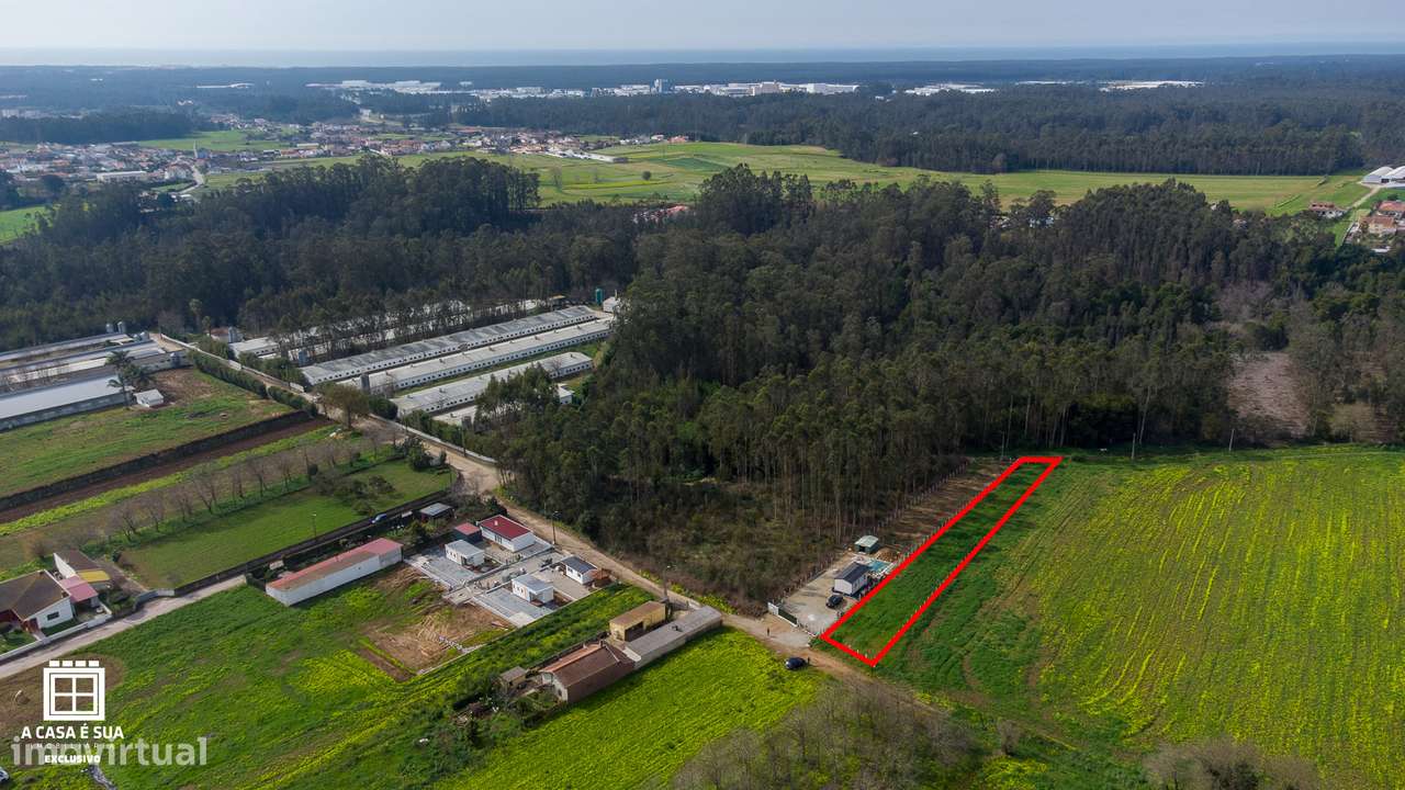 Terreno com 1.150 m2 para cultivo em São João de Ovar - Grande imagem: 5/11