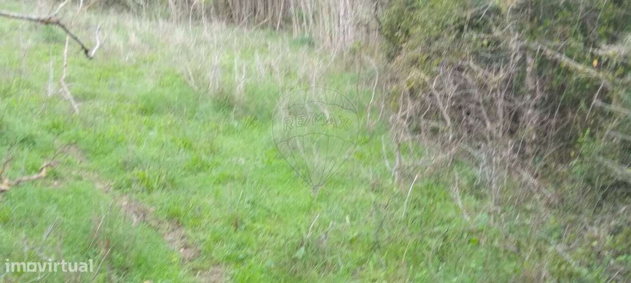 Terreno  para venda - Grande imagem: 5/11