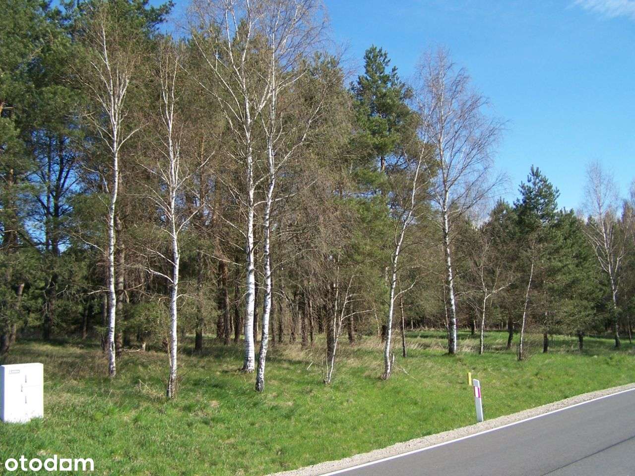 Dom wolnostojący przy lesie, garaż, albo działki - Pełny obrazek: 5/18