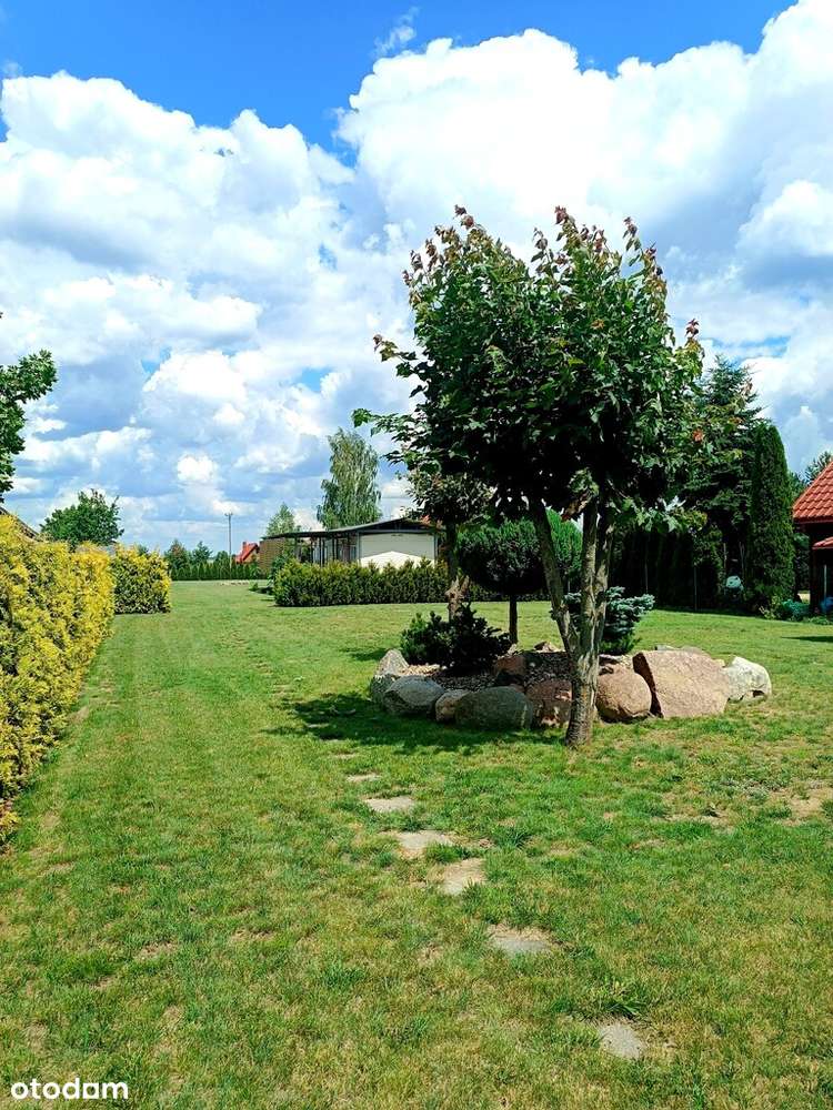 Przepiękna działka inwestycyjna w Siemianówce-6