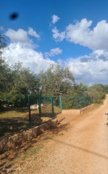 Vendo terreno agrícola