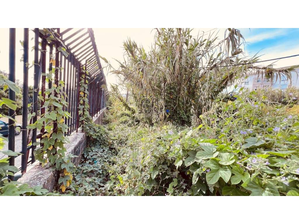 Lote de Terreno Rústico com possibilidade de passar a urbano - 2000m2 - Grande imagem: 4/4