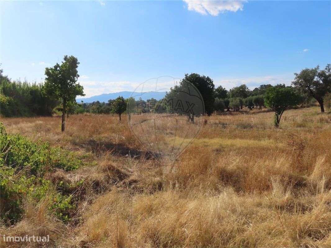 Quinta  para venda - Grande imagem: 2/28