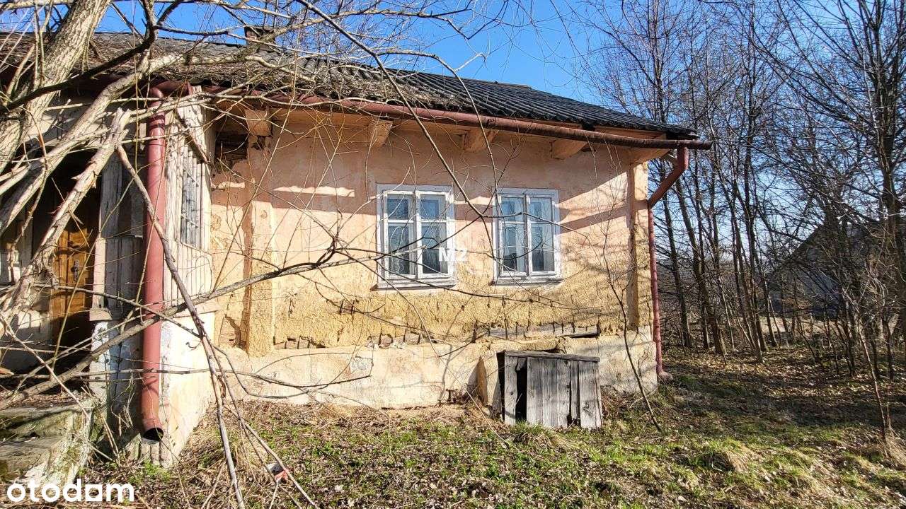 Piękna działka budowlano- leśna z drewnianym domem - Pełny obrazek: 4/6