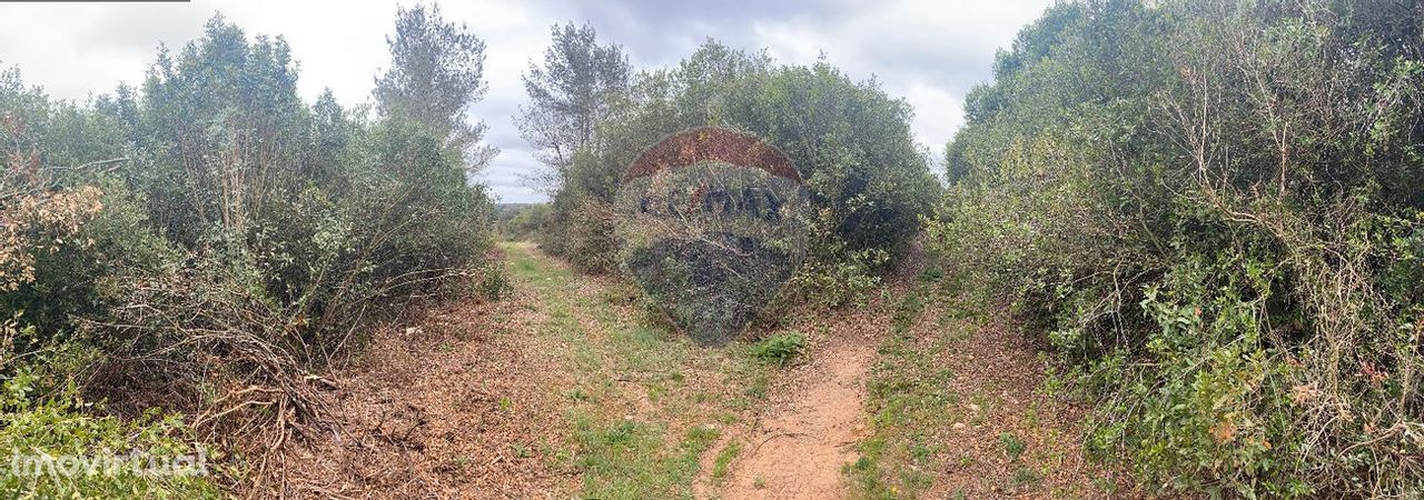 Terreno  para venda