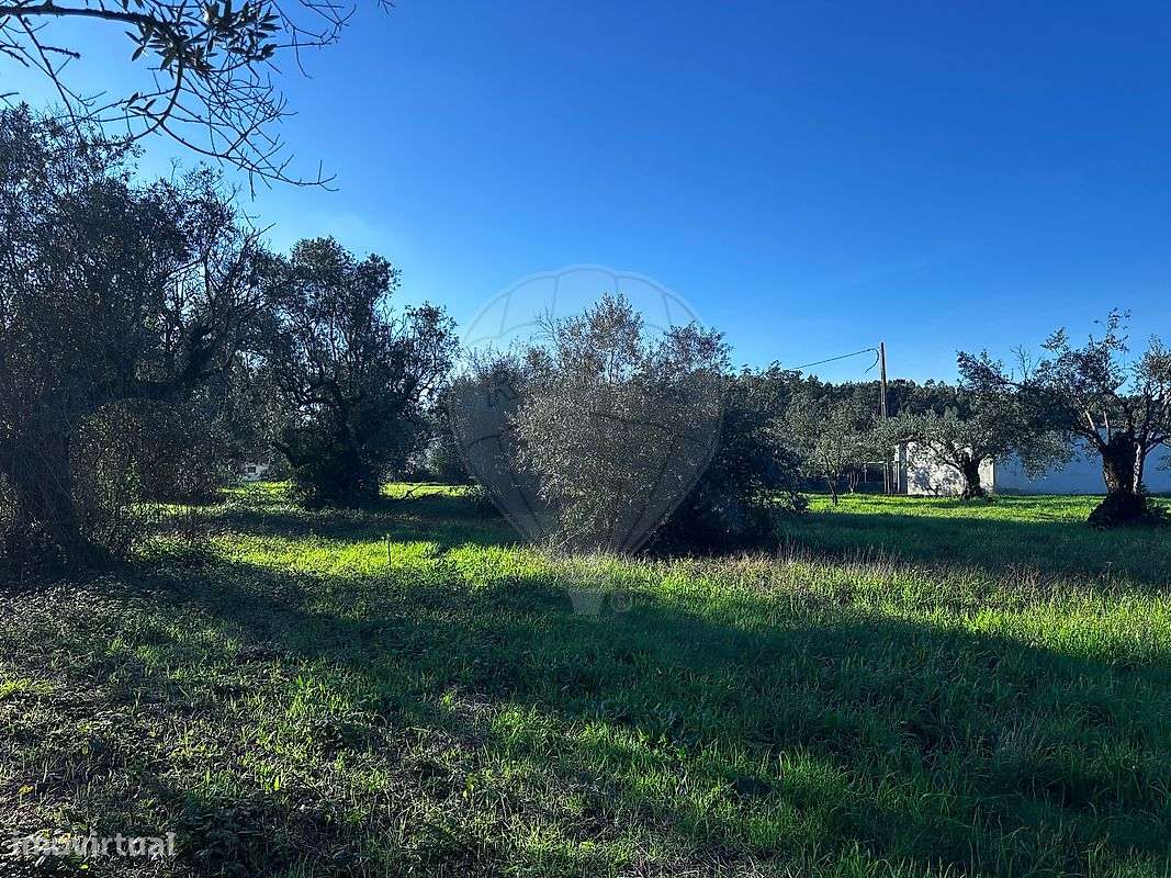 Terreno  para venda - Grande imagem: 5/13